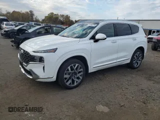 2023 Hyundai Santa Fe Calligraphy with VIN 5NMS5DAL9PH638154, listed as a Copart auction lot 77254174 with 8,565 mi miles and Salvage Title. Bid and sale history available at carsss.com. Image 1.