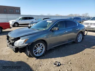 2010 Nissan Maxima 3.5 SV w/Premium Pkg with VIN 1N4AA5AP9AC864254, listed as a Copart auction lot 49496635 with 199,377 mi miles and Salvage Title. Bid and sale history available at carsss.com. Image 1.