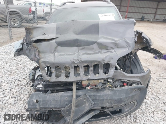 2019 Jeep Cherokee Trailhawk Elite with VIN 1C4PJMBX9KD329661, listed as a IAAI auction lot 41704933 with 1 mi miles. Bid and sale history available at carsss.com. Image 6.