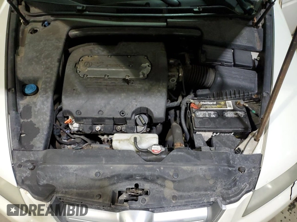 2004 Acura TL with VIN 19UUA66204A008689, listed as a Copart auction lot 49812755 with 146,792 mi miles and Clean Title. Bid and sale history available at carsss.com. Image 11.
