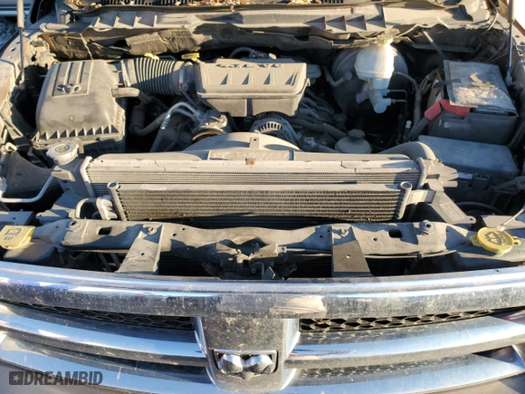2010 Dodge Ram 1500 ST with VIN 1D7RV1GP3AS105497, listed as a Copart auction lot 78314964 with 217,943 mi miles and Clean Title. Bid and sale history available at carsss.com. Image 11.