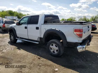 2013 Ford F-150 XL with VIN 1FTFW1EF2DFA80433, listed as a Copart auction lot 54926625 with 181,374 mi miles and Clean Title. Bid and sale history available at carsss.com. Image 2.
