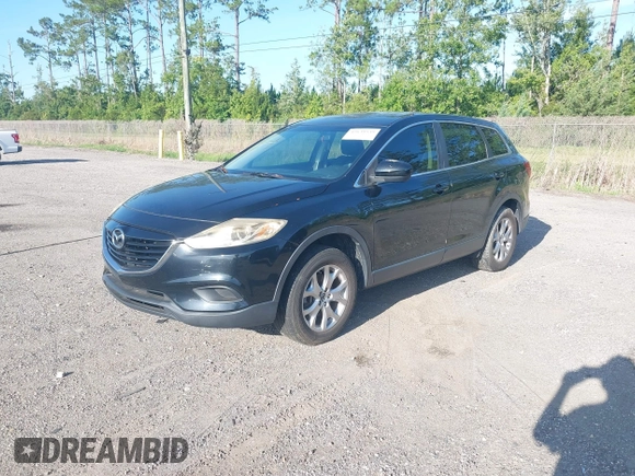 2014 Mazda CX-9 Touring with VIN JM3TB2CA1E0434126, listed as a IAAI auction lot 42639539 with 116,247 mi miles and . Bid and sale history available at DreamBid. Image 2.