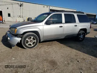 2006 Chevrolet TrailBlazer LS with VIN 1GNES16S466110948, listed as a Copart auction lot 61704004 with 142,423 mi miles and Non Repairable. Bid and sale history available at carsss.com. Image 1.