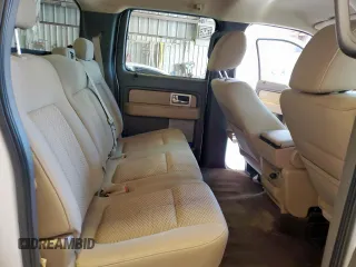 2009 Ford F-150 XL z VIN 1FTPW14V09KB99853, wystawiony jako Copart lot #58485255 z przebiegiem 229 437 mil mil oraz Tytuł czysty. Historia ofert i sprzedaży dostępna na DreamBid. Obrazek 10.