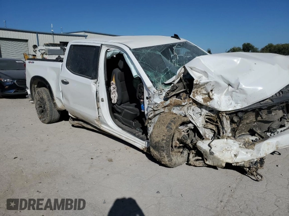 2019 Chevrolet Silverado 1500 Custom with VIN 3GCPYBEH1KG276770, listed as a Copart auction lot 74860884 with Not Provided miles and Salvage Title. Bid and sale history available at DreamBid. Image 4.