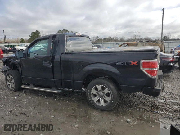 2013 Ford F-150 XL with VIN 1FTMF1CF5DKD45167, listed as a Copart auction lot 45029525 with 141,749 mi miles and Salvage title. Bid and sale history available at DreamBid. Image 2.