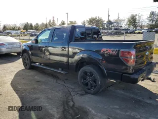 2013 Ford F-150 XL with VIN 1FTFW1ET2DFC10717, listed as a Copart auction lot 46179435 with 175,007 mi miles and Salvage Title. Bid and sale history available at carsss.com. Image 2.