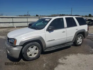 2002 Chevrolet TrailBlazer LS with VIN 1GNDS13S722262305, listed as a Copart auction lot 49610865 with 311,481 mi miles and Salvage Title. Bid and sale history available at DreamBid. Image 1.