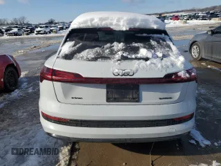 2023 Audi e-tron Premium Plus z VIN WA1LAAGE2PB016954, wystawiony jako Copart lot #87949115 z przebiegiem 31 575 mil mil oraz Szkoda całkowita • Salvage title. Historia ofert i sprzedaży dostępna na DreamBid. Obrazek 6.