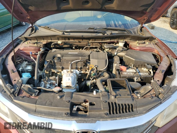 2017 Honda Accord LX with VIN 1HGCR2F30HA232458, listed as a Copart auction lot 50519515 with 126,589 mi miles and Salvage Title. Bid and sale history available at carsss.com. Image 11.