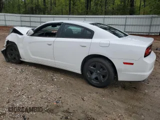 2012 Dodge Charger Police z VIN 2C3CDXAG3CH205208, wystawiony jako Copart lot #52694165 z przebiegiem 131 236 mil mil oraz Szkoda całkowita • Salvage title. Historia ofert i sprzedaży dostępna na DreamBid. Obrazek 2.