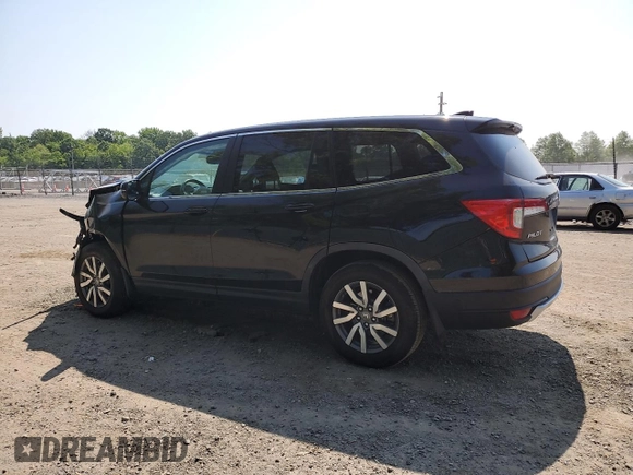 2019 Honda Pilot EX-L with VIN 5FNYF5H5XKB031517, listed as a Copart auction lot 59430655 with 64,929 mi miles and Salvage title. Bid and sale history available at DreamBid. Image 2.
