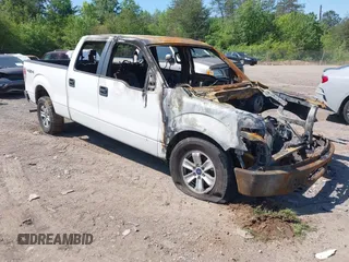 2010 Ford F-150 XL с VIN 1FTFW1E87AFB13410, выставлен на аукционе IAAI как лот 42021804 с пробегом Не указан миль и . История ставок и продаж доступна на DreamBid. Изображение 1.