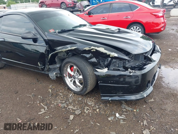2001 Ford Mustang GT Deluxe with VIN 1FAFP42X01F256120, listed as a IAAI auction lot 42446560 with Not provided miles and . Bid and sale history available at DreamBid. Image 6.