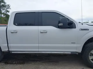 2016 Ford F-150 XLT z VIN 1FTEW1EG3GKF16738, wystawiony jako IAAI lot #41901854 z przebiegiem 179 122 mil mil oraz . Historia ofert i sprzedaży dostępna na DreamBid. Obrazek 13.