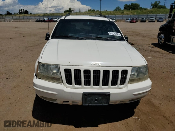 1999 Jeep Grand Cherokee Limited with VIN 1J4GW68N5XC549051, listed as a Copart auction lot 64376325 with 205,276 mi miles and Clean title. Bid and sale history available at DreamBid. Image 6.