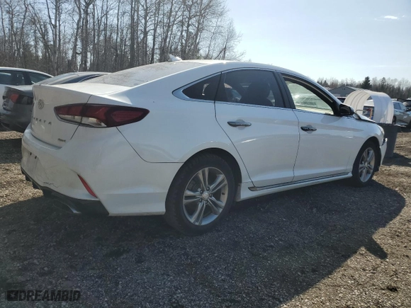 2019 Hyundai Sonata Sport with VIN 5NPE34AF3KH747637, listed as a Copart auction lot 48707865 with 189,257 mi miles and Salvage Title. Bid and sale history available at carsss.com. Image 3.