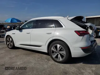 2024 Audi Q8 e-tron Premium Plus z VIN WA15AAGE6RB025796, wystawiony jako Copart lot #54271535 z przebiegiem 29 045 mil mil oraz Szkoda całkowita • Salvage title. Historia ofert i sprzedaży dostępna na DreamBid. Obrazek 2.