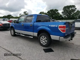 2010 Ford F-150 XL with VIN 1FTFW1EV8AFA11457, listed as a Copart auction lot 60961435 with 159,767 mi miles and Salvage title. Bid and sale history available at DreamBid. Image 2.
