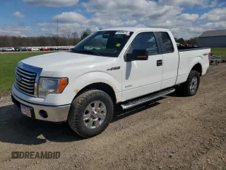 2012 Ford F-150 XL with VIN 1FTFX1ET1CFA54830, listed as a Copart auction lot 53489675 with 135,845 mi miles and Clean title. Bid and sale history available at DreamBid. Image 1.
