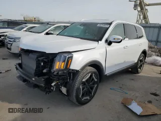 2024 Kia Telluride EX with VIN 5XYP34GC3RG497226, listed as a Copart auction lot 88254825 with 12,110 mi miles and Salvage Title. Bid and sale history available at carsss.com. Image 1.