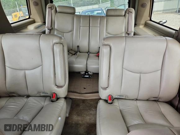 2005 Chevrolet Tahoe LT with VIN 1GNEC13T95J116623, listed as a Copart auction lot 60550695 with Not provided miles and Salvage title. Bid and sale history available at DreamBid. Image 10.