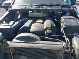 1999 Mercedes-Benz M 320/430/500 with VIN 4JGAB54E5XA086715, listed as a IAAI auction lot 41546385 with 188,551 mi miles and . Bid and sale history available at DreamBid. Image 10.