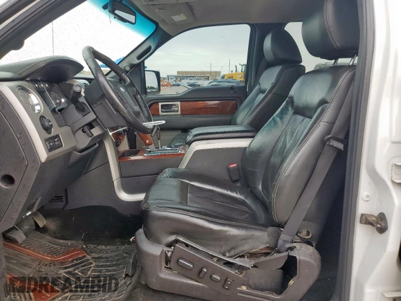 2010 Ford F-150 XL with VIN 1FTFW1EV9AFB45006, listed as a Copart auction lot 59585915 with 219,756 mi miles and Salvage title. Bid and sale history available at DreamBid. Image 7.