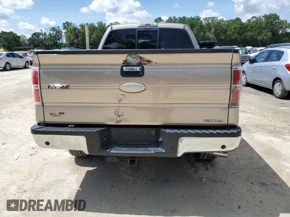 2011 Ford F-150 XL with VIN 1FTEX1EM8BFD20153, listed as a Copart auction lot 60405365 with 239,383 mi miles and Salvage title. Bid and sale history available at DreamBid. Image 6.
