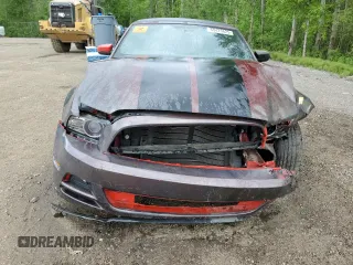 2013 Ford Mustang V6 with VIN 1ZVBP8EMXD5213980, listed as a Copart auction lot 60423625 with 220,419 mi miles and Salvage title. Bid and sale history available at DreamBid. Image 5.