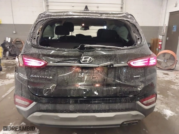 2020 Hyundai Santa Fe SEL with VIN 5NMS3CAD8LH203290, listed as a IAAI auction lot 41613808 with 64,729 mi miles. Bid and sale history available at carsss.com. Image 6.