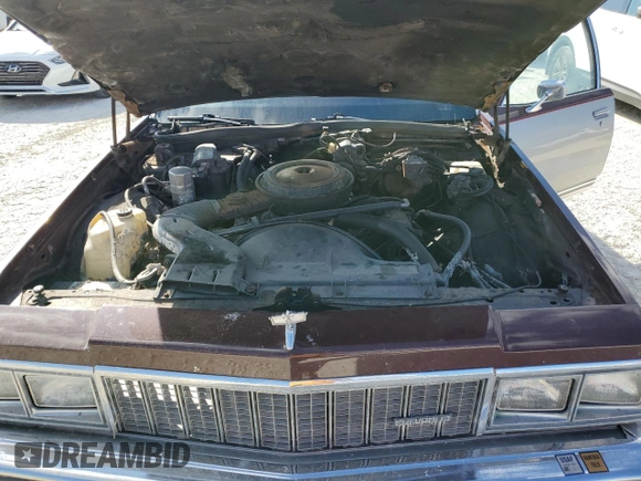 1979 Chevrolet Caprice with VIN 1N69L9J320518, listed as a Copart auction lot 78174914 with 49,981 mi miles and Non repairable. Bid and sale history available at DreamBid. Image 11.