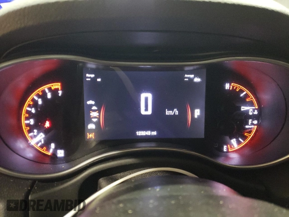 2019 Dodge Durango SXT Plus with VIN 1C4RDHAG8KC604712, listed as a Copart auction lot 46579725 with 123,243 mi miles and Salvage Title. Bid and sale history available at DreamBid. Image 9.