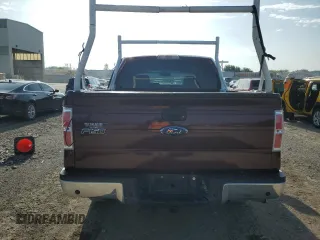 2009 Ford F-150 XL with VIN 1FTRW14889KC37087, listed as a Copart auction lot 58106134 with 225,464 mi miles and Salvage Title. Bid and sale history available at DreamBid. Image 6.