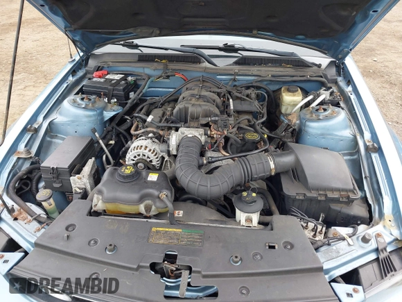 2006 Ford Mustang Standard с VIN 1ZVHT84N765220050, выставлен на аукционе IAAI как лот 42231993 с пробегом 123 880 миль миль и . История ставок и продаж доступна на DreamBid. Изображение 10.