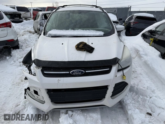 2013 Ford Escape SE with VIN 1FMCU9G97DUB99908, listed as a Copart auction lot 48123295 with Not Provided miles and Non Repairable. Bid and sale history available at DreamBid. Image 5.