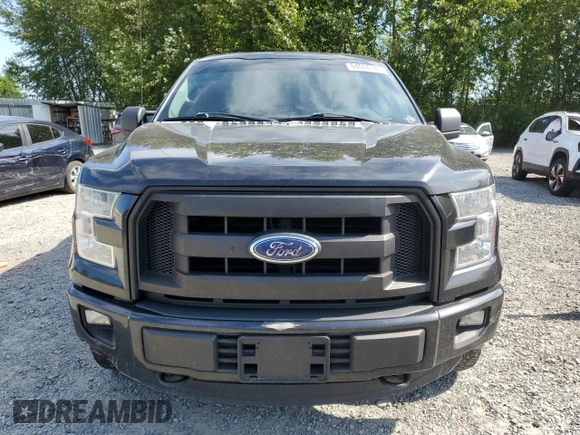 2015 Ford F-150 XLT with VIN 1FTEX1E81FFC59138, listed as a Copart auction lot 64074145 with 186,962 mi miles and Salvage title. Bid and sale history available at DreamBid. Image 5.