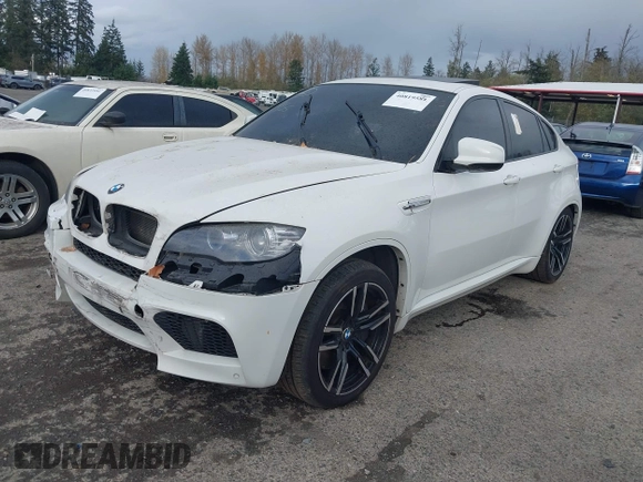 2010 BMW X6 M with VIN 5YMGZ0C52ALK13325, listed as a IAAI auction lot 40819581 with 134,282 mi miles. Bid and sale history available at carsss.com. Image 17.