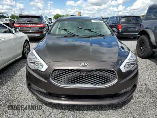 2015 Kia K900 Luxury with VIN KNALW4D48F6017602, listed as a Copart auction lot 74309814 with 0 mi miles and Salvage Title. Bid and sale history available at carsss.com. Image 5.