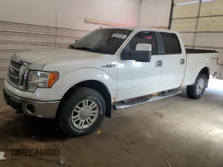2010 Ford F-150 XL with VIN 1FTFW1EV7AFA44093, listed as a Copart auction lot 64300765 with 242,956 mi miles and Clean title. Bid and sale history available at DreamBid. Image 1.