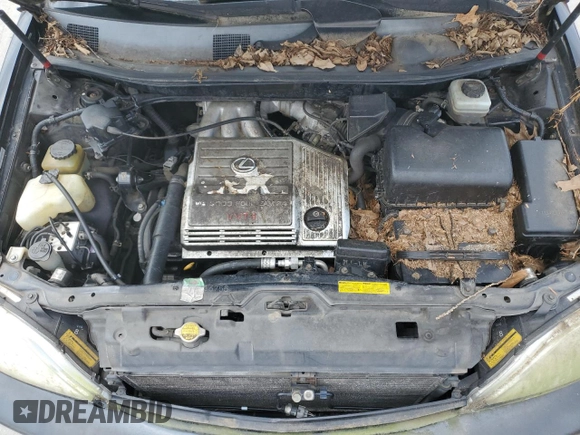 2001 Lexus RX 300 with VIN JTJGF10U810091085, listed as a Copart auction lot 64291204 with 182,357 mi miles and Clean Title. Bid and sale history available at DreamBid. Image 12.
