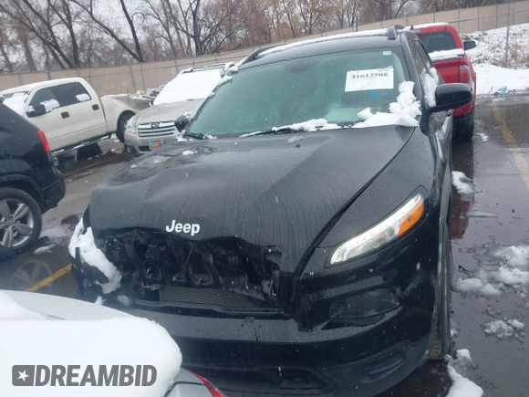 2017 Jeep Cherokee Sport with VIN 1C4PJMAB3HW599844, listed as a IAAI auction lot 41612508 with 112,237 mi miles. Bid and sale history available at carsss.com. Image 12.
