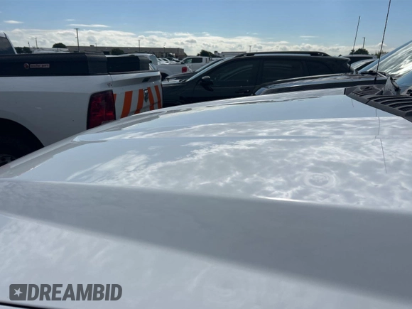 2019 Ford F-250 XL with VIN 1FDBF2A62KEE59702, listed as a IAAI auction lot 42767178 with 120,172 mi miles and . Bid and sale history available at DreamBid. Image 6.