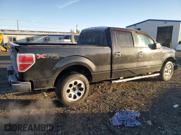 2010 Ford F-150 XL with VIN 1FTFW1EV9AFD21293, listed as a Copart auction lot 77943404 with 123,165 mi miles and Salvage title. Bid and sale history available at DreamBid. Image 3.
