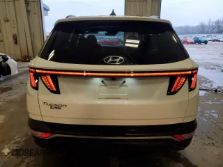 2023 Hyundai Tucson SEL with VIN 5NMJB3AE2PH176925, listed as a Copart auction lot 50561085 with 23,980 mi miles and Salvage Title. Bid and sale history available at carsss.com. Image 6.