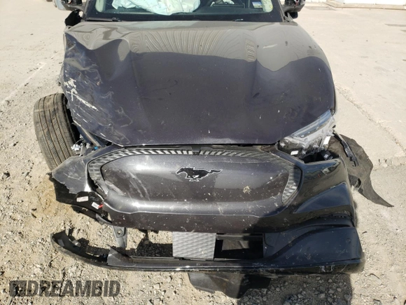 2022 Ford Mustang Mach-E California Route 1 z VIN 3FMTK2R72NMA02626, wystawiony jako Copart lot #63863292 z przebiegiem Nie podano mil oraz . Historia ofert i sprzedaży dostępna na DreamBid. Obrazek 7.