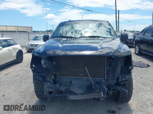 2017 Ford F-150 XL z VIN 1FTEW1EF3HFB49325, wystawiony jako IAAI lot #42242866 z przebiegiem 152 338 mil mil oraz . Historia ofert i sprzedaży dostępna na DreamBid. Obrazek 13.