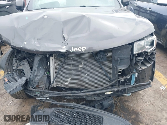 2019 Jeep Grand Cherokee Altitude with VIN 1C4RJEAG7KC556191, listed as a IAAI auction lot 42160524 with 96,373 mi miles and . Bid and sale history available at DreamBid. Image 6.
