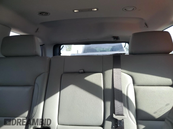 2018 Chevrolet Tahoe LT with VIN 1GNSCBKC9JR389809, listed as a Copart auction lot 53548335 with 111,788 mi miles and Salvage title. Bid and sale history available at DreamBid. Image 10.